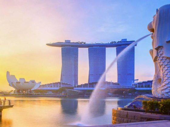 itours DMCC