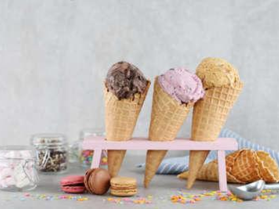 Mina Creamery For Ice Cream Trading