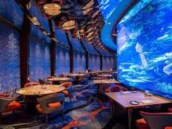 Burj Al Arab Hotel
