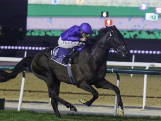 Dubai Horse Racing Information Centre