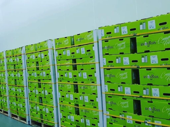 TFC Fruits Trading