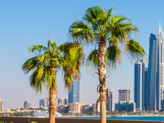 Noor Alpetra Commercial Brokers