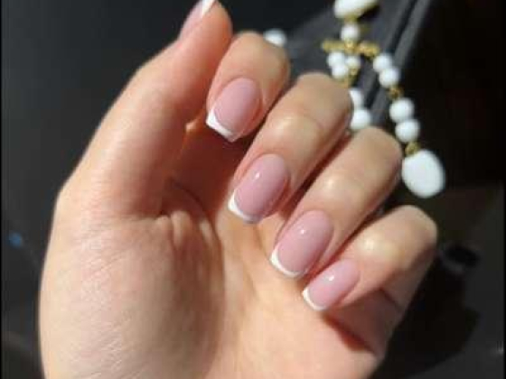 Persona Image Elite Ladies Salon