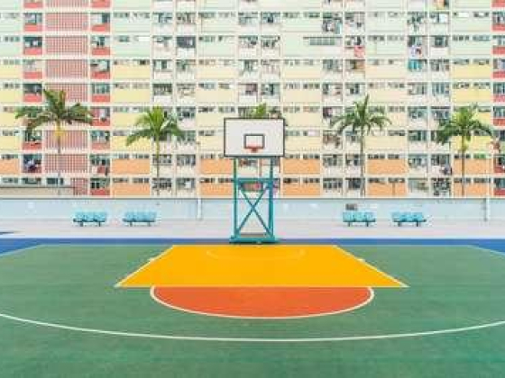 Basketball Half Court