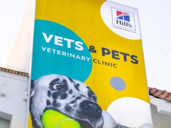 Vets & Pets Veterinary Clinic