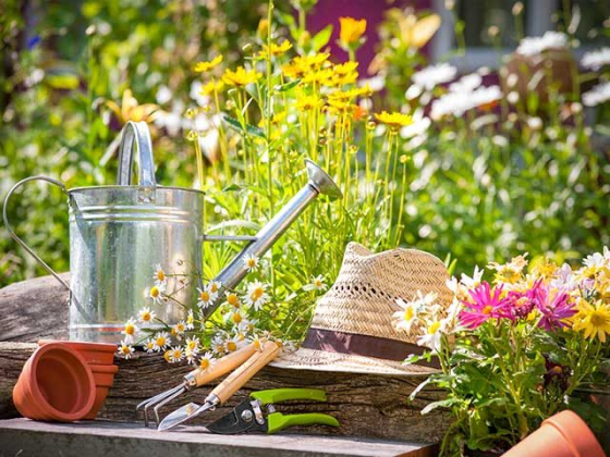 Home & Garden