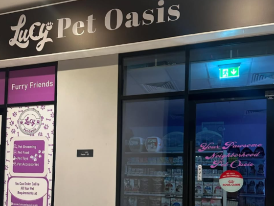 Lucy Pet Oasis