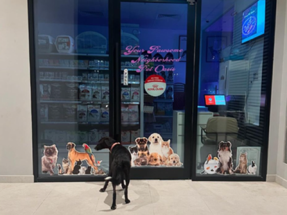 Lucy Pet Oasis