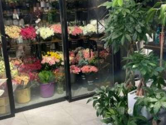 Rozina Flower Trading