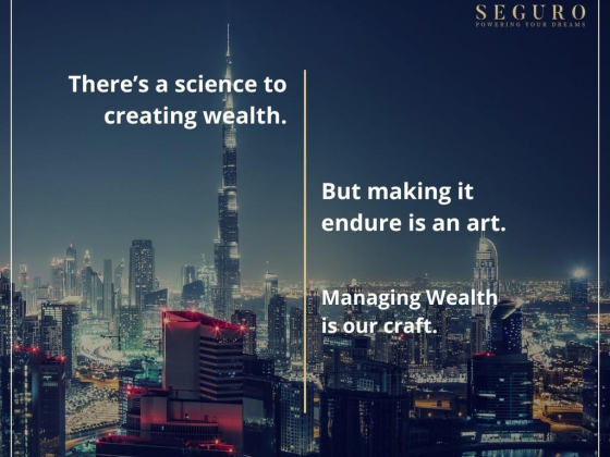 Seguro Commercial Brokers L.l.c