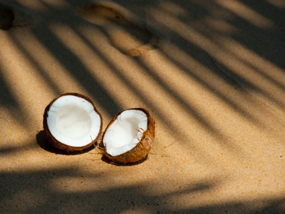 Coconut Oil – How Healthy is It?