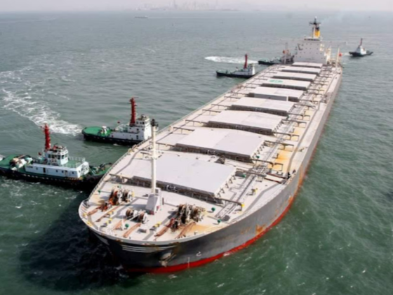 Best Fast Way Sea Shipping Lines Agents