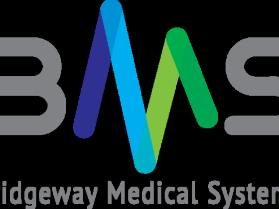 Bridgeway Medical Systems