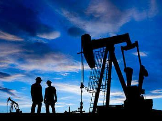 Shelf Drilling Management