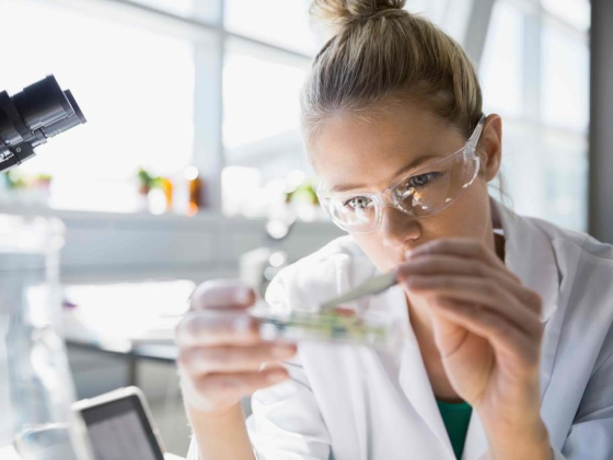 Alpha Medical Laboratory