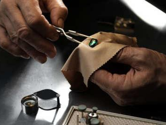 Volt Brand Jewellery  Co.
