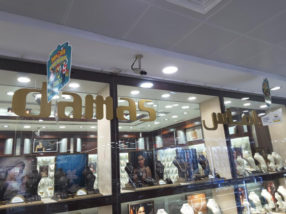 Damas Collection