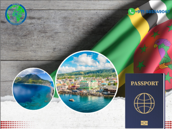 Doyen International Documents Clearing Services
