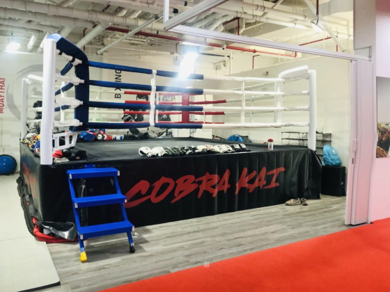 Cobra Kai Fitness Club