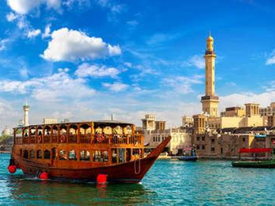 Star Gaze Tours And Travels