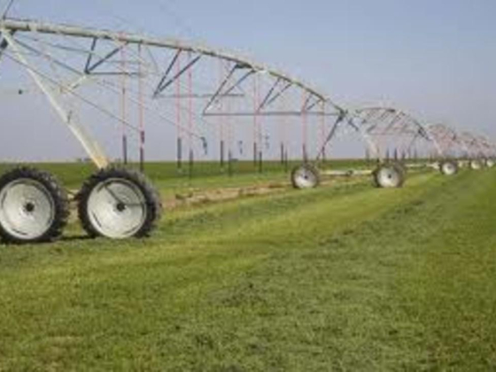 Hail Agricultural & Feasibility Studies Consultancies
