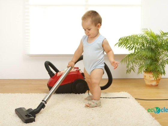 Eco Clean Cleaning Services