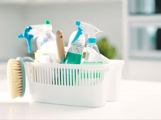 Bright Future Cleaning & Pest Control