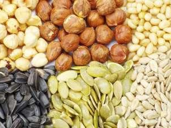 Masood Iqbal Foodstuff Trading
