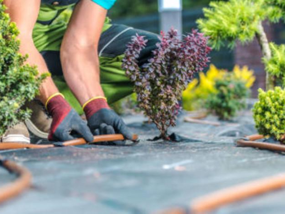 Sialkot Landscaping