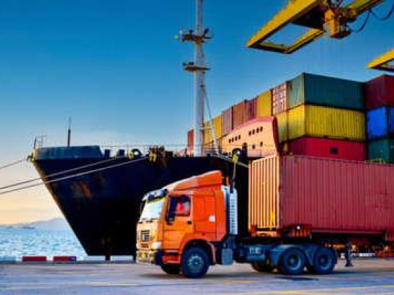 True Ways Cargo Transport