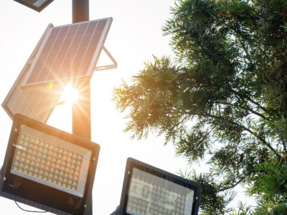 Ahmad Haqiqat Solar Energy Trading