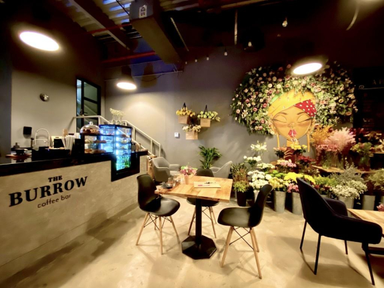 The Burrow