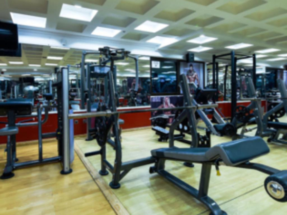 Speed Line Gym