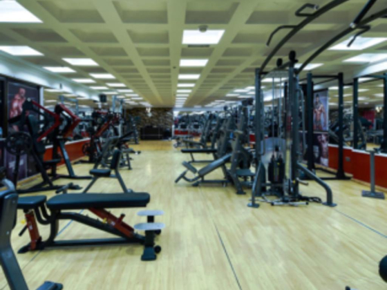 Speed Line Gym