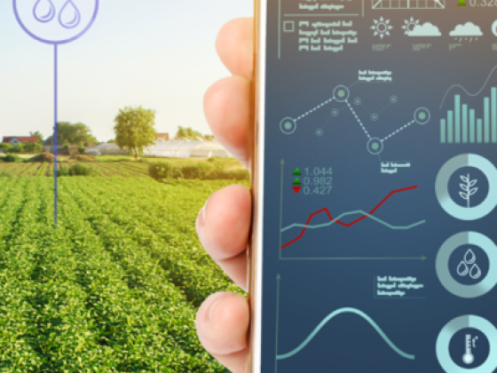 H2o Hydrophonics Agriculture