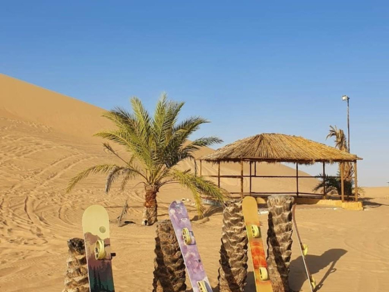 Suncity Tours & Safari