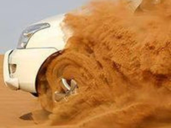 Suncity Tours & Safari