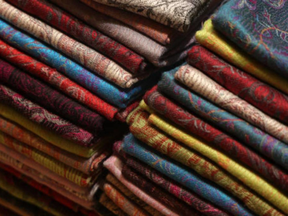 Fatma Darwish Mohammed Trading