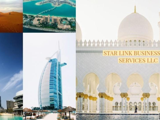Star Link Businessmen Services