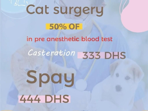 Mercy Veterinary Clinic
