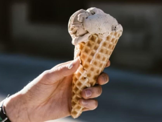 Taste Soft Ice Cream