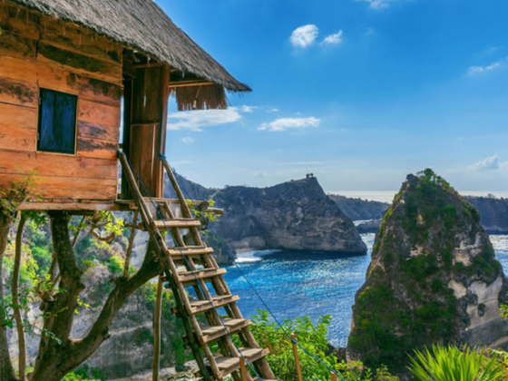 Royal Guide Travel Agency Company