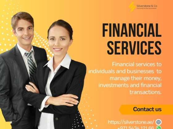Silver Stone Management Consulting