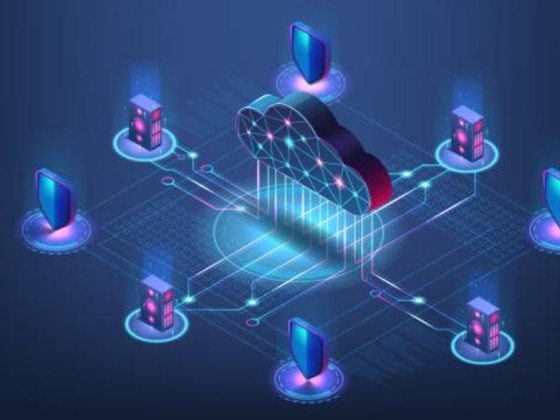 Waince Web Tech