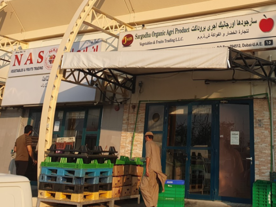 Sargodha Organic Agri Product Vegetables & Fruits Trading