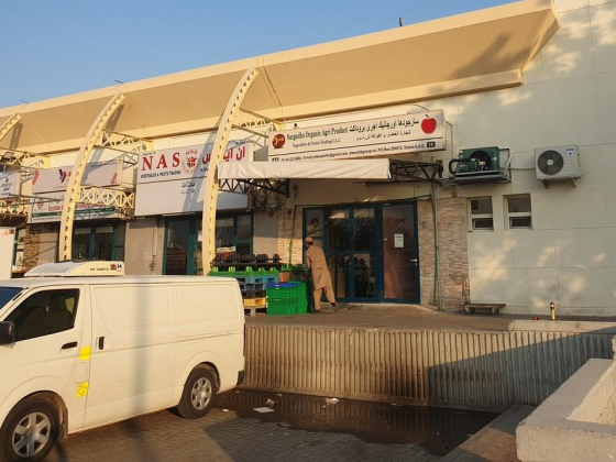 Sargodha Organic Agri Product Vegetables & Fruits Trading