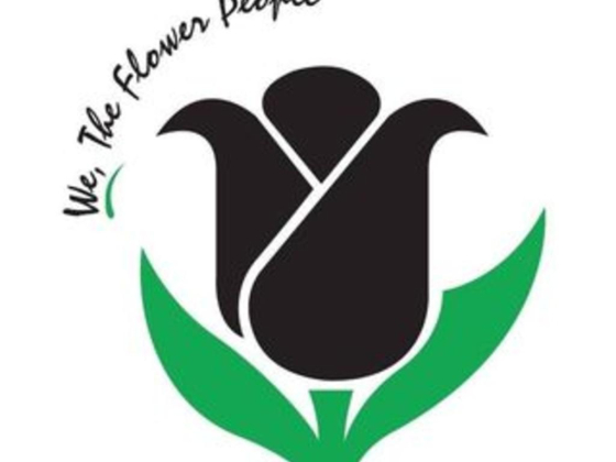 Black Tulip Flowers