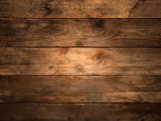 Bravo Timber Trading L.l.c