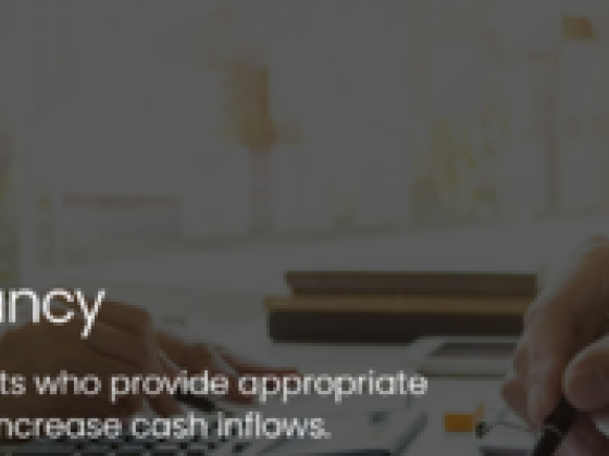 Ank Global Chartered Accountants
