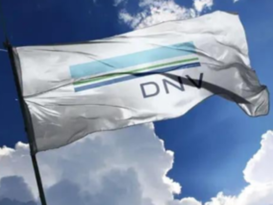 Dnv As